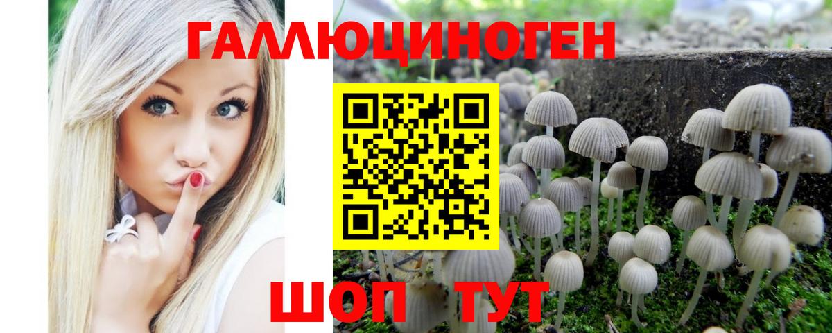 Галлюциногенные грибы GOLDEN TEACHER  Псилоцибиновые грибы ЛСД  Крымск  Вход с VPN 