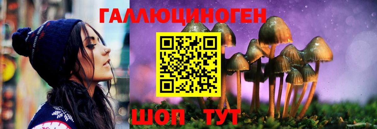 Псилоцибиновые грибы мухоморы Крымск