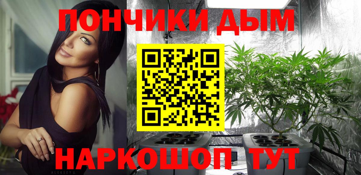 Конопля сатива Крымск